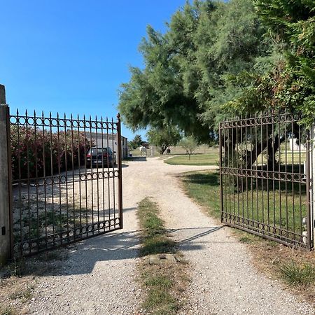« La Parenthese » Gite En Camargue อาร์ลส์ ภายนอก รูปภาพ