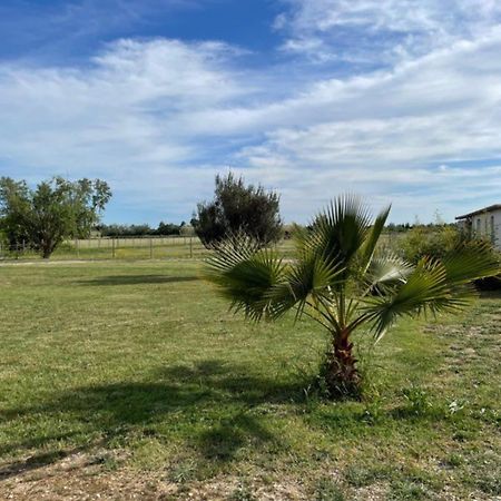 « La Parenthese » Gite En Camargue อาร์ลส์ ภายนอก รูปภาพ