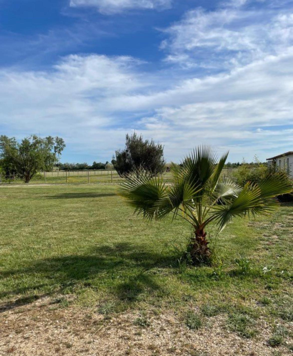 « La Parenthese » Gite En Camargue อาร์ลส์ ภายนอก รูปภาพ